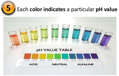 water acidity test drops|how to check ph of water.